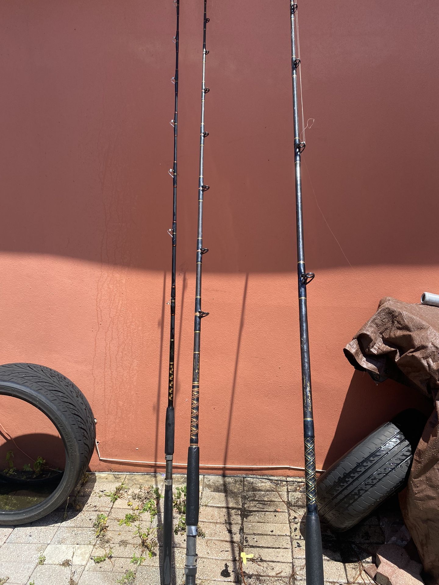 3 Fishing Rods