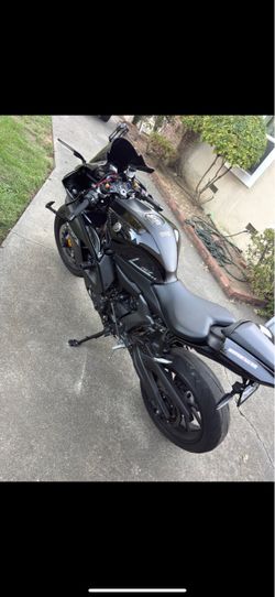 2024 Yamaha R7