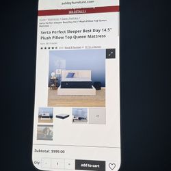 Serta Perfect Sleeper Queen Size Mattress, No Boxspring Brand New Paid 1000 Asking Him 450