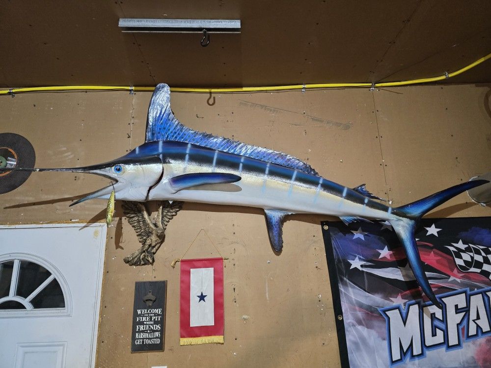 7ft Marlin