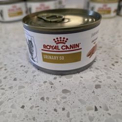 Royal Canin Cat Food