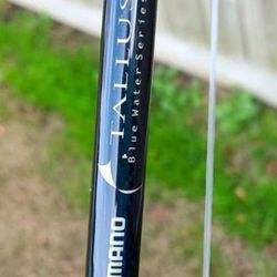 WTT OR SELL Shimano Tallus  conventional 8t boat rod 40-80 line class