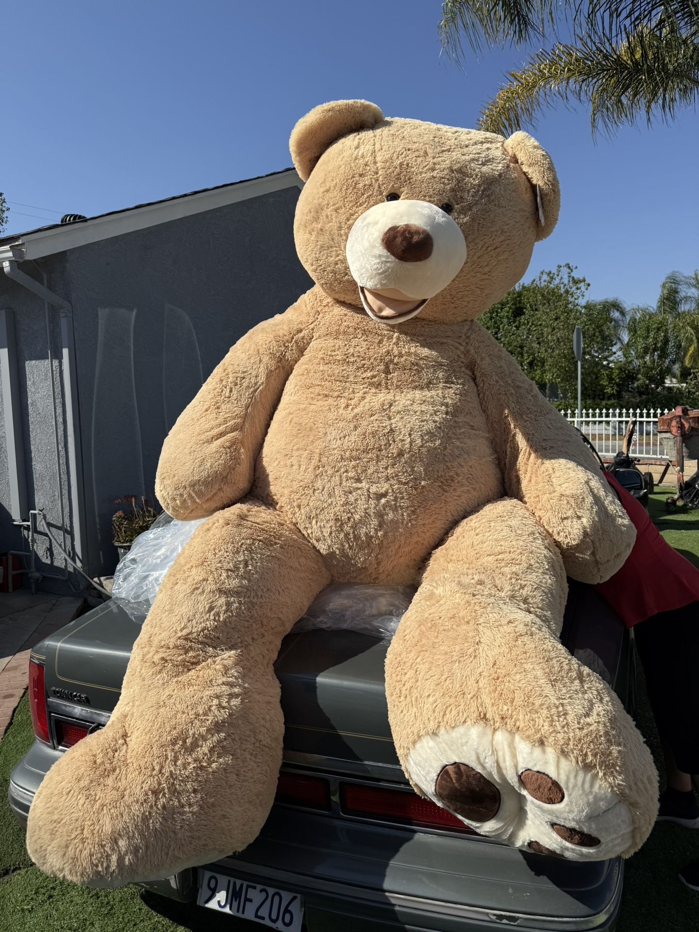 Teddy Bear