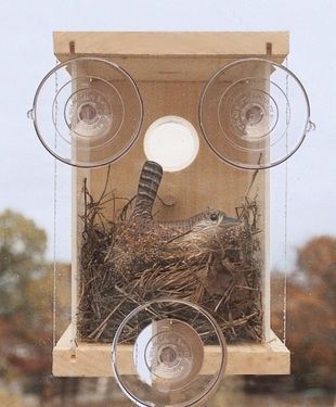 See Through Mirrored Bird House