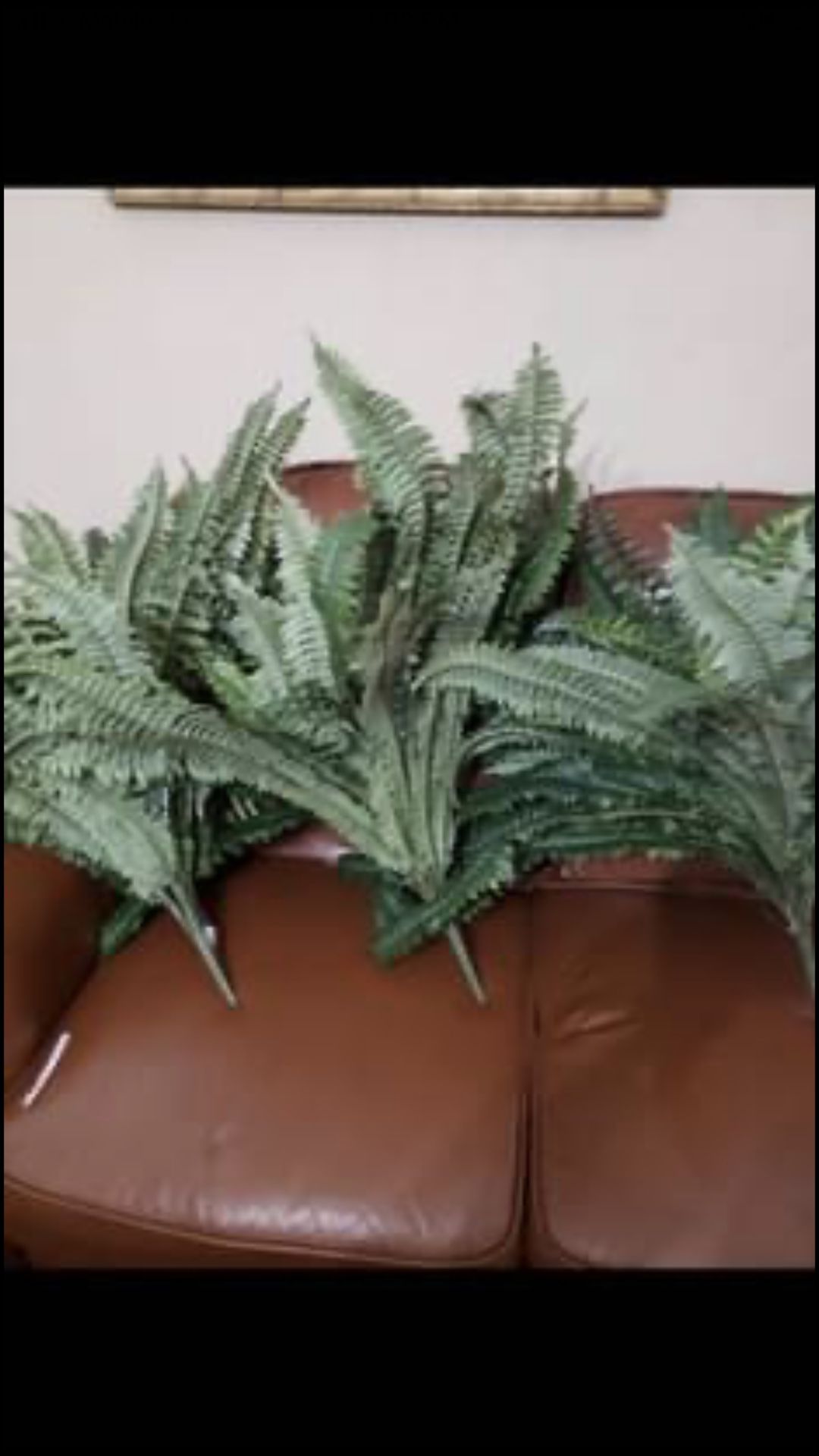 3 fake decor ferns . Brand new . Smoke free home