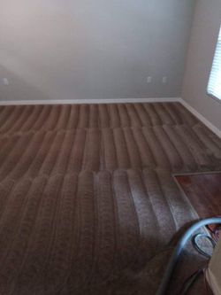 Carpet