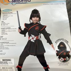Ninja Costume 