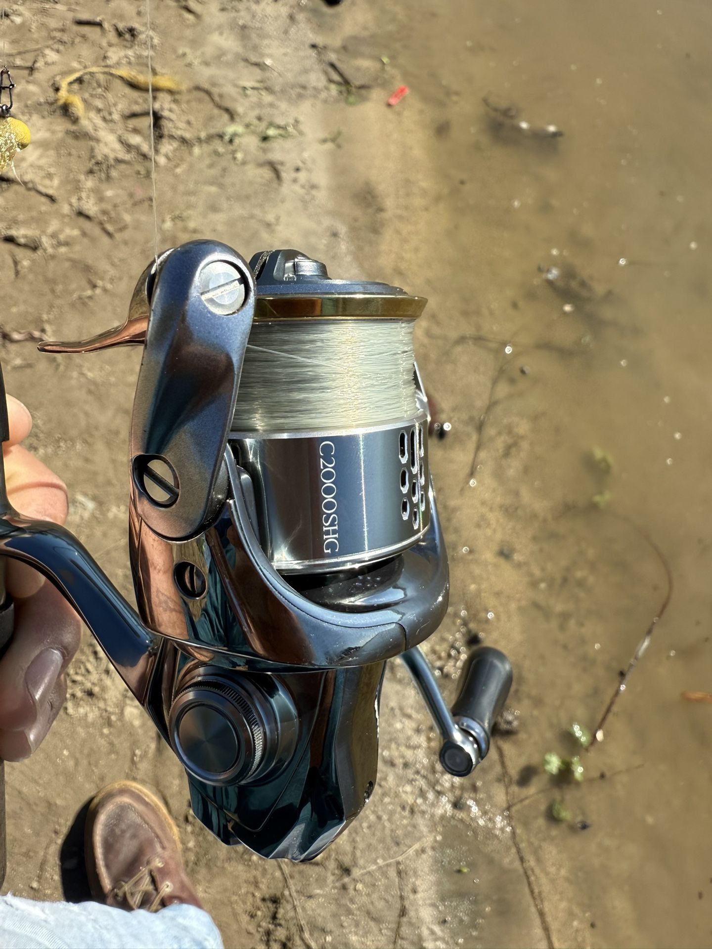 Shimano 01 STELLA FW 2000S Spinning Reel Gear 5.2:1 Free Stella 2000
