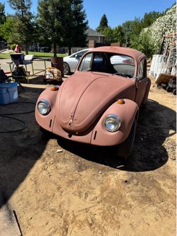 Classic Beetle