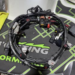 Yamaha Fzr Harness