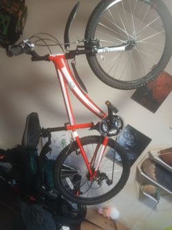 Diamond back cobra 24