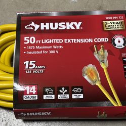 Husky 50’ Lighted Extension Cord 