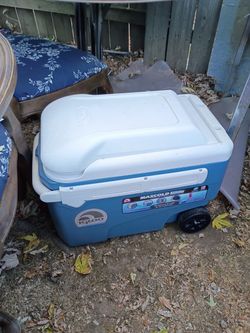 Igloo MaxCold Glide 40 Quart Rolling Cooler