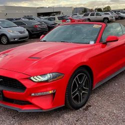 2019 Ford Mustang