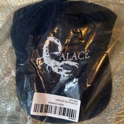 Palace Scorpio Hat