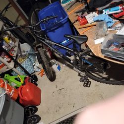 Mtn Bike Needs New Cranks All Race After Market Pars