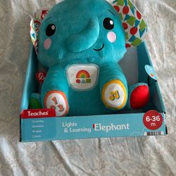 Lights And Learning Elephant