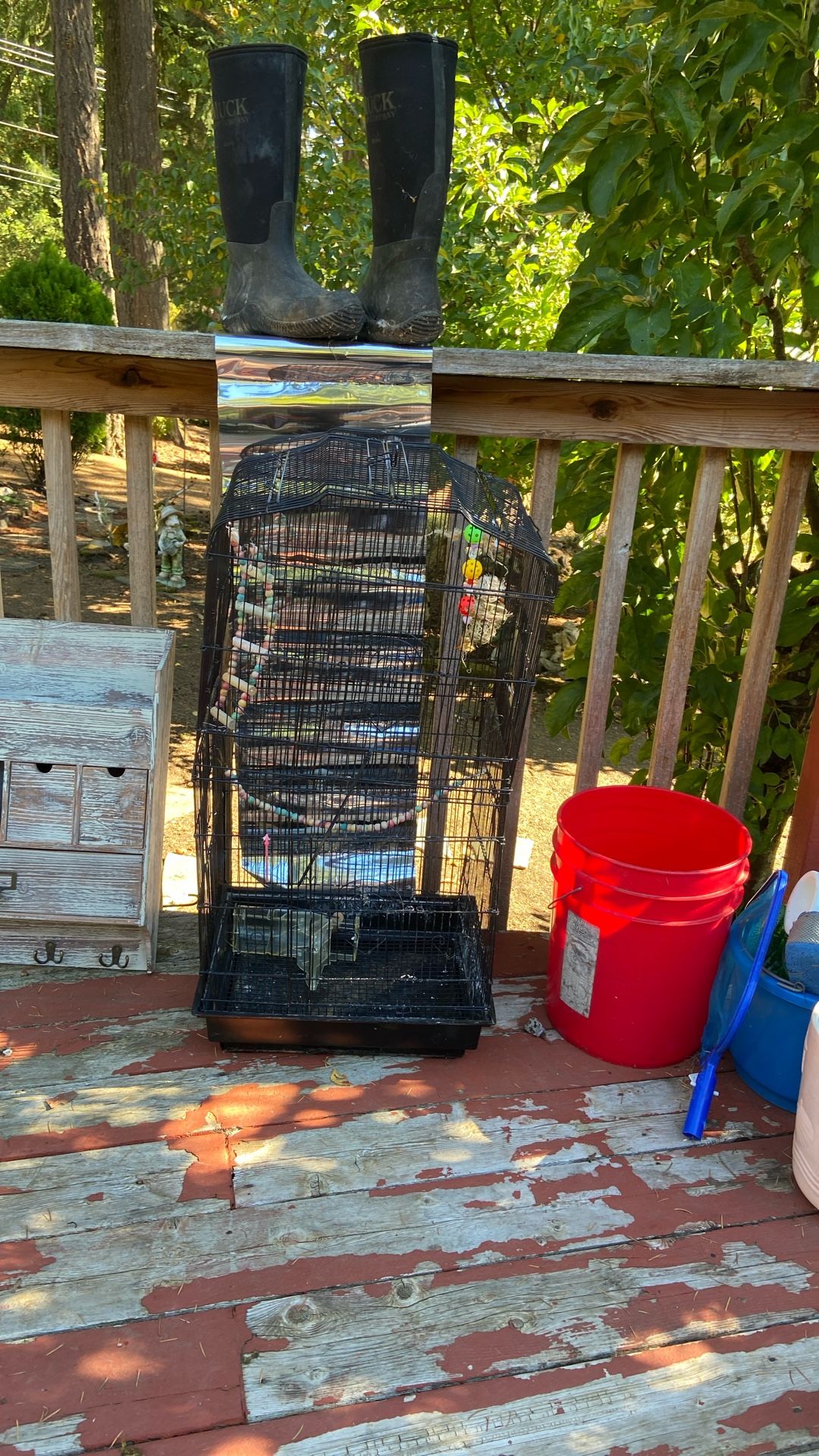 Tall Bird Cage, Pet Cage, Parakeet, Parrot, Cockatiel