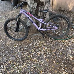 Kids Mountain Bike