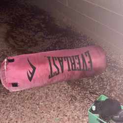 Ever last Punching Bag 