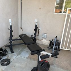 Workout Bench