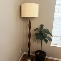 2 floor Lamps