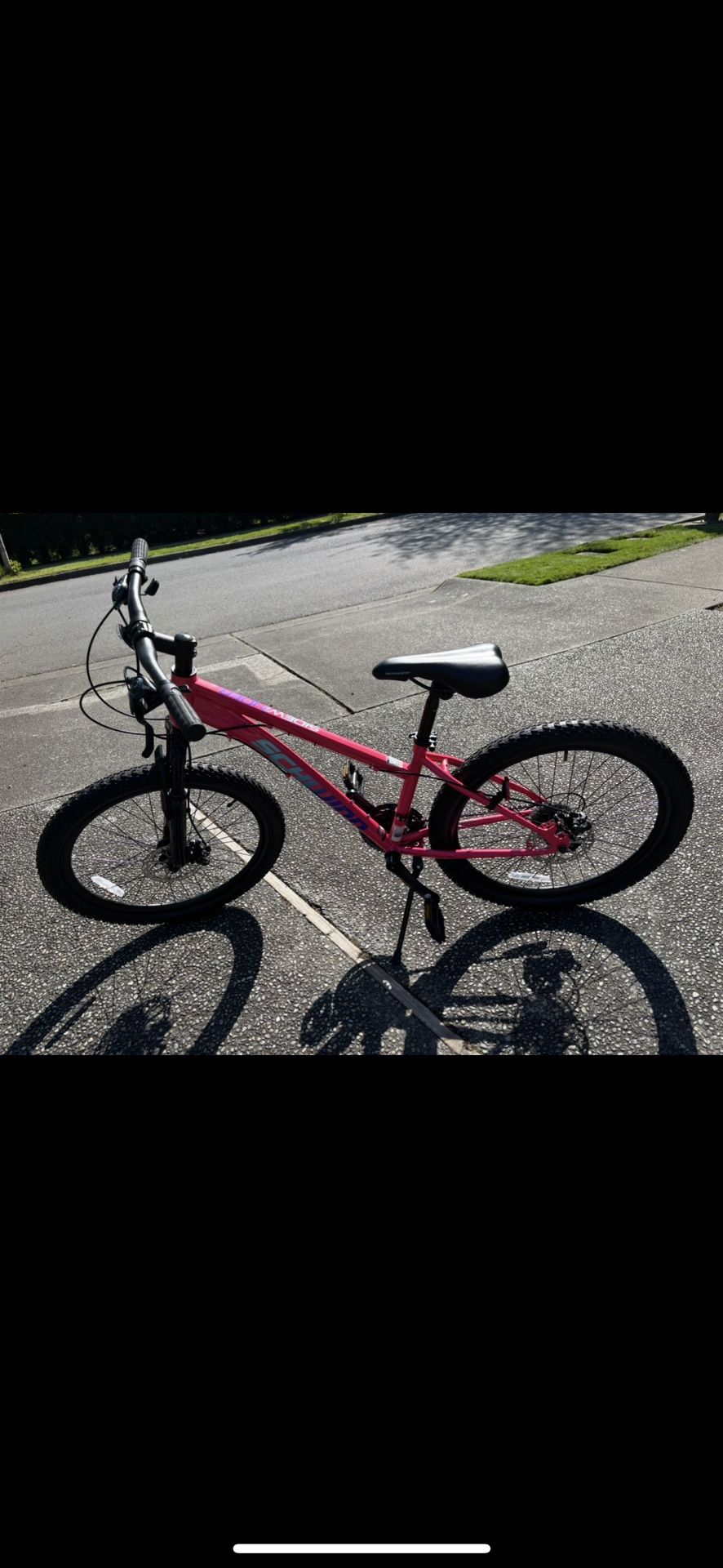 Schwinn Youth Mountain Bike