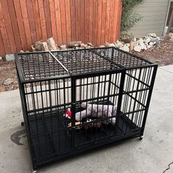 Dog Kennel