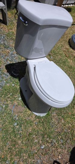 Glacier bay toilet