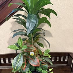 Artificial Plant Indoor/Outdoor