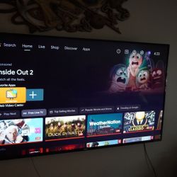 Phillips 65in TV Bundle