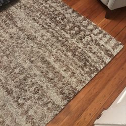 8x10’ Costco Area Rug $25