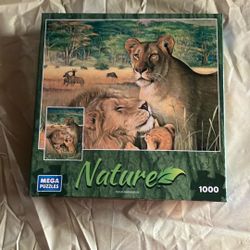 1000 Piece Puzzle 