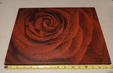 Beautiful Rose wth Raindrops Canvas 🌹