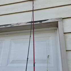 Ugly Stik Carbon Salmon Steelhead.  Fishing Pool. 