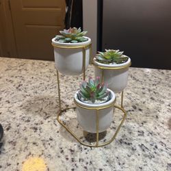 Gold Plant Holder With Plants.