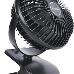 Fan