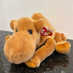 Vintage Ty Beanie Buddy Humphrey The Camel 1998 Retired . With Ear Tag 