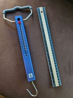 Portable Fishing Hang Scale (50lb max)