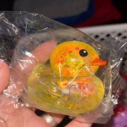 Sugar Duck