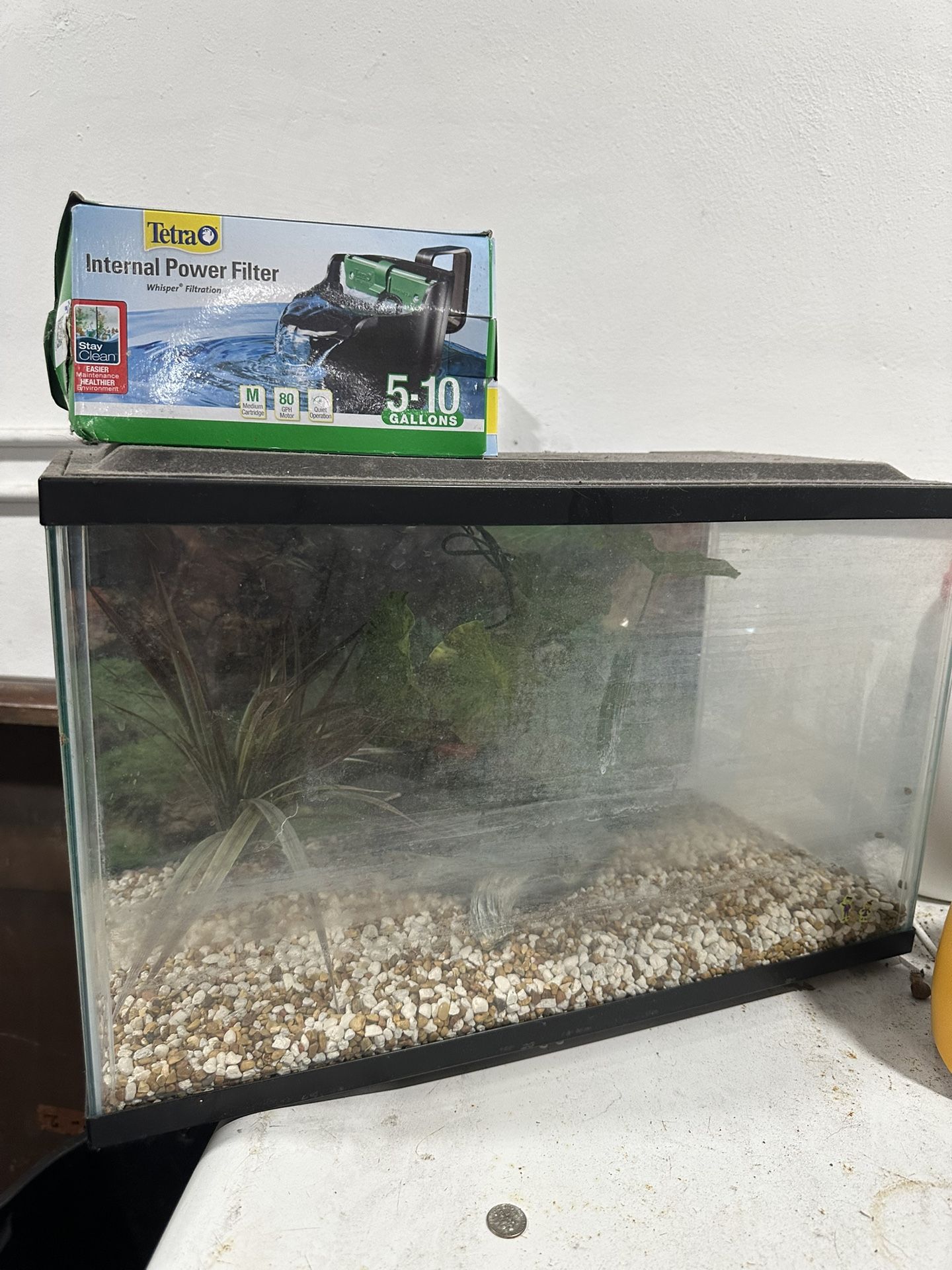 10 Gallon Fish Tank With New Filter