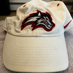 Authentic Nike University Of Indiana Red Wolves Cap