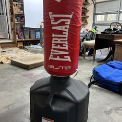 Everlast Standing Punching Bag And Gloves 