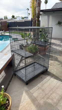 Bird cage