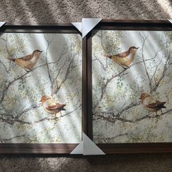 New Framed Nesting Birds