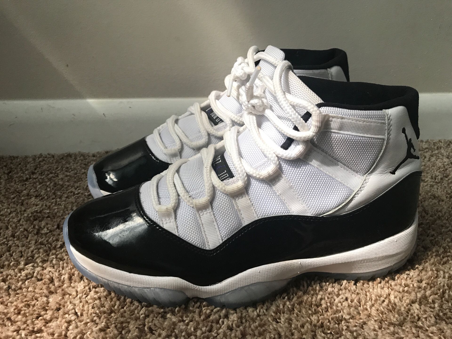 Jordan Concord 11 (9.5) And Jordan 3 International Flight (10)