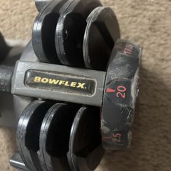 Bowflex Dumbbells 