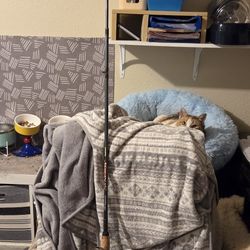 Fishing pole in real