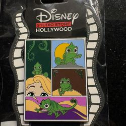 Disney Hollywood Studios Ranpuzel Limited Edition pin