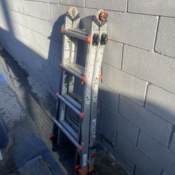 Little Giant Ladder 